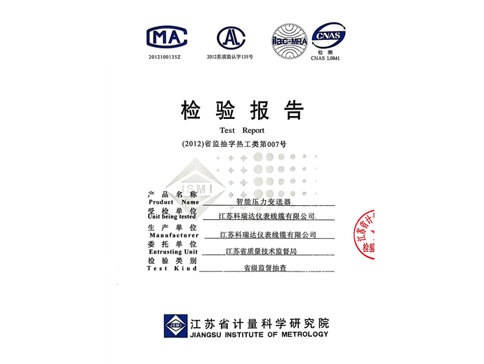 检验报告-智能压力表